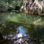 the torrent with the reflections of the trees